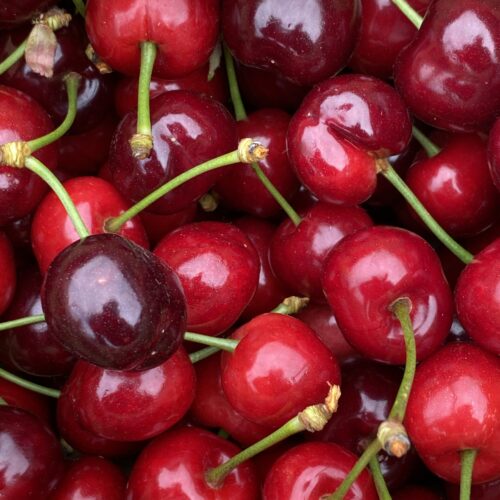 Cerises Bigarreau