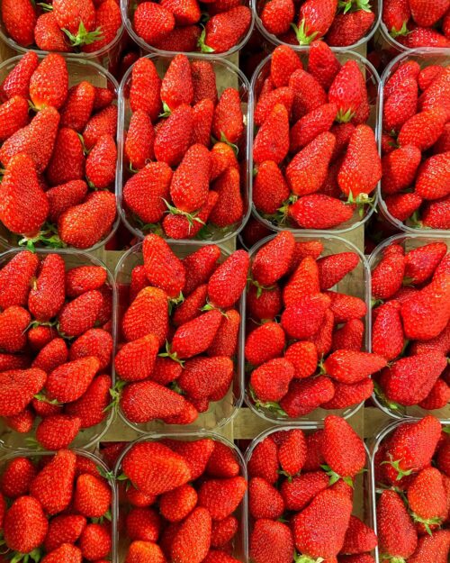 Fraises Gariguette
