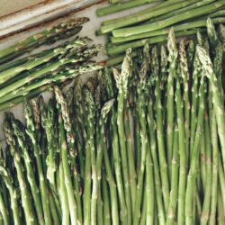 Asperges vertes
