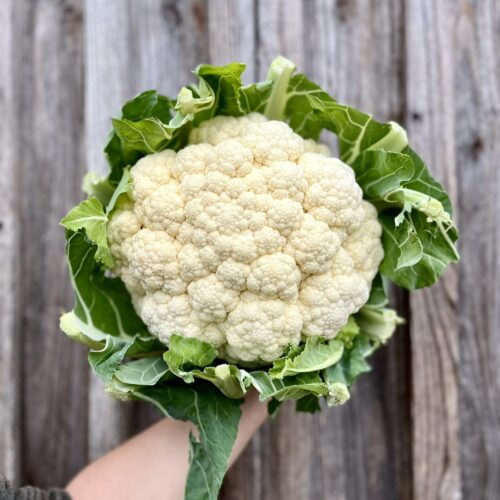 Chou-fleur