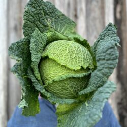 Chou vert