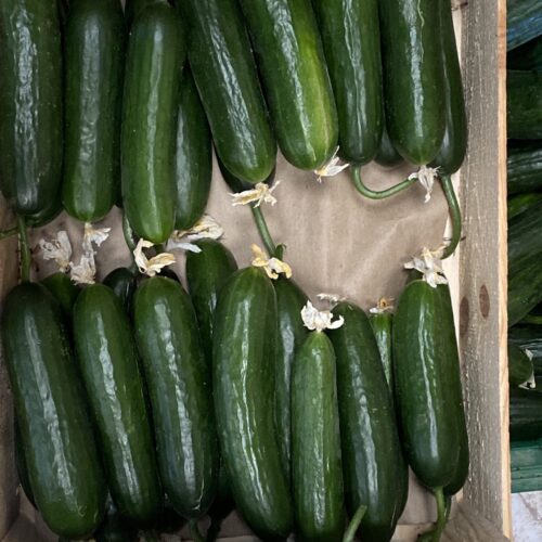 Courgettes – Image 2