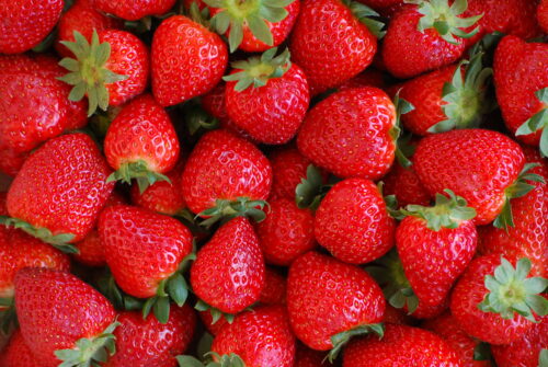 Fraises dream
