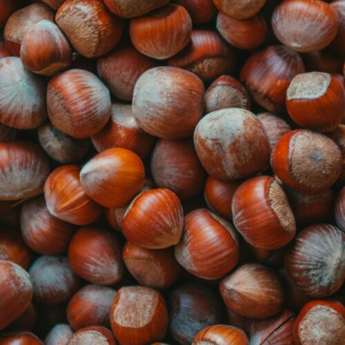 Noisettes