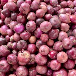 Oignons rouges