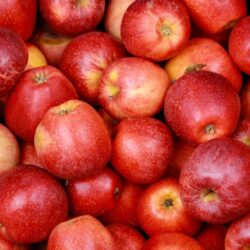 Pommes Gala