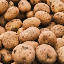 Pommes de terre 5kg