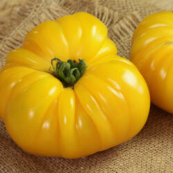 Tomates Ananas